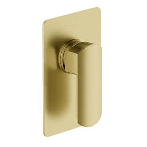 ELEMENTI ION MAINS PRESSURE SHOWER MIXER - BRUSHED BRASS