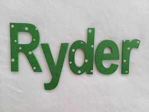 8 Names Suitable For Doors: Ryder - small letters suitable for a door.