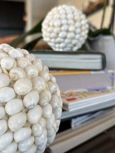 Natural Shell Decorative Sculpture