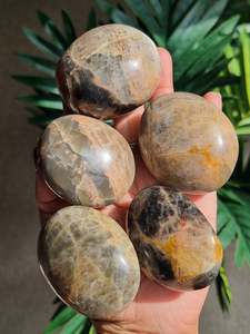 Black Moonstone Palm stone