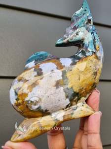 Ocean Jasper Dolphin