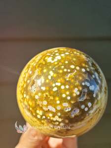 Ocean Jasper Mushroom