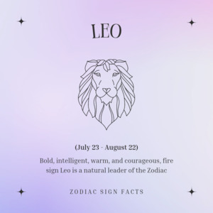 Crystal Mystery Box 1: Leo Zodiac Crystal Pack