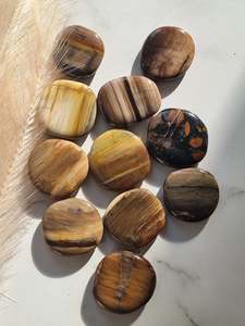Petrified Wood Flatstone