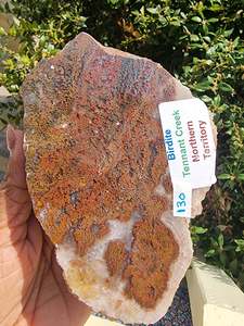 Fossil Specimens: Birdite Rough Slab