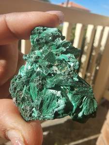 Fossil Specimens: Velvet Malachite Rough