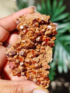 Fossil Specimens: Vanadinite Cluster