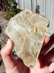 Fossil Specimens: Mica Sheet Crystal