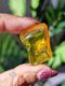 Baltic Amber Tumble