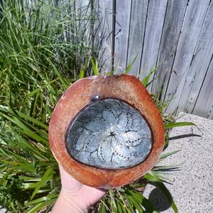 Coconut Paua Shell Bowl