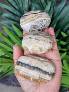 Crystals Palm Stone: Bumblee Bee Jasper Palm Stone