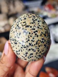 Dalmatian Jasper Palm Stone