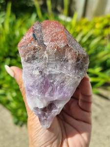 Crystals Amethyst: Auralite Root Rough Large