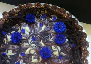 See All: Chocolate Vanilla Mousse Tart