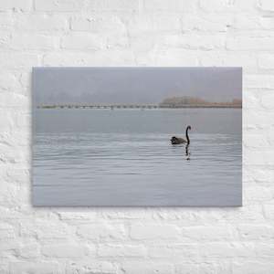 Turangi Swan Canvas Print