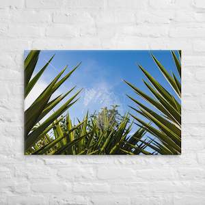 Matakohe Palm Web Canvas Print