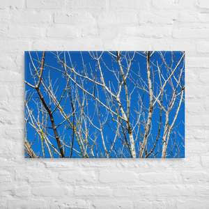 Canvas Prints: Kaipara Autumn Branches Canvas Print