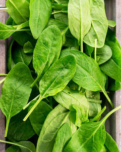Products: Spinach