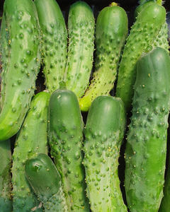Products: Gherkins