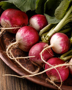 Products: Radish