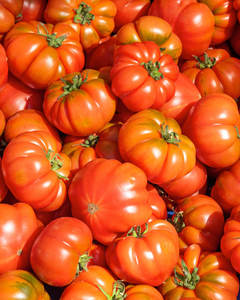 Products: Tomatoes
