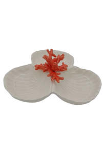 Coral Ceramic Starter Plate