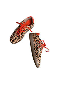 Leopard Pony Trainer