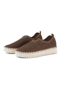 Shoes: Microfiber Tulip Shoe - Mocca