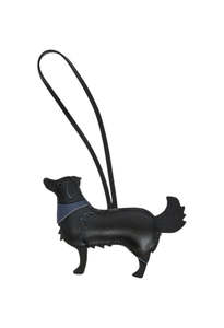 Coqui Fob