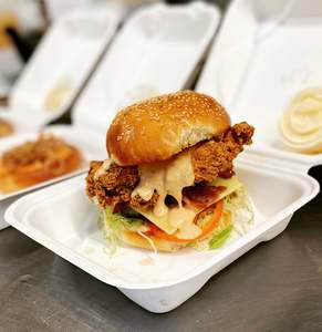 Burgers 1: Southern Fried Chicken Burger