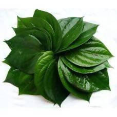 Betel Leaves / Pan ka Patta 5 leaves