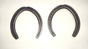 Standard Bred: Premier Pacing Hind No Wings Shoes