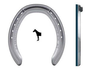 KINGS OUTER RIM BLUE BONDED