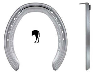 Standard Bred: KINGS OUTER RIM EU HIND T/C