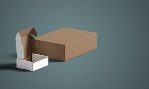UPGRADE PACKAGING
