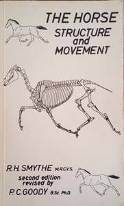 Biomechanics: The Horse Structure and Movement