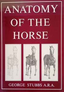 Biomechanics: Anatomy of the Horse