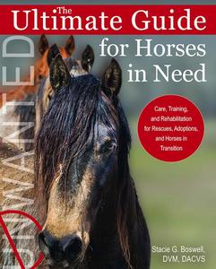 Bodywork: The Ultimate Guide for Horses in Need