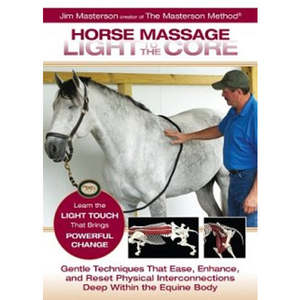 Bodywork: Horse Massage Light to the Core