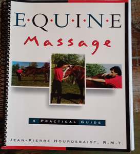 Equine Massage