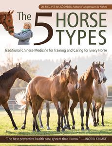 Bodywork: The 5 Horse Types
