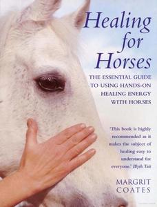 Bodywork: Healing for Horses