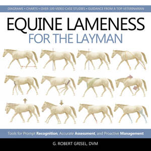 Nutrition: Equine Lameness for the Layman