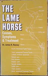 The Lame Horse. Causes, Symptoms & Treatment