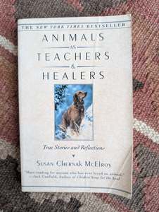 Coaching: Animals as Teachers and Healers