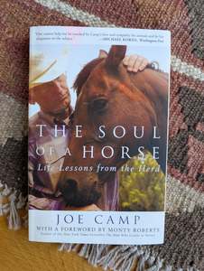 Coaching: The Soul of a Horse