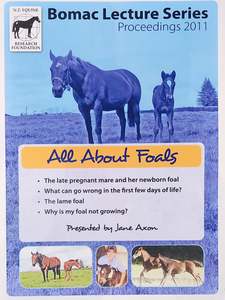 Breeding And Young Horses: All About Foals