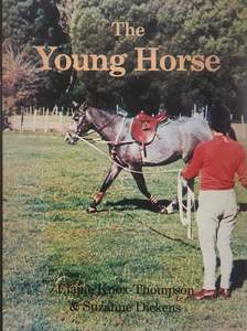 The Young Horse