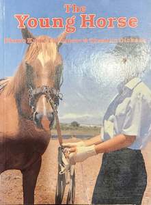 Breeding And Young Horses: The Young Horse