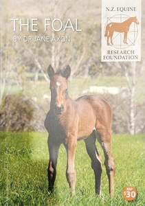 Breeding And Young Horses: The Foal